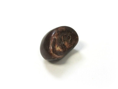 Brown half-nut, with mottled coating on the half side.