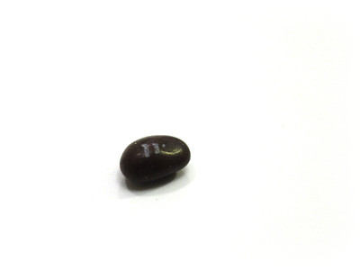 Shrunken brown one, raisin-like.