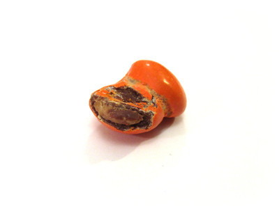 Wicked orange double-nut, with exposed nut and torn-looking coating on one of them.