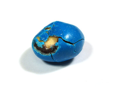 A big blue, with nut exposed, and fragmented fractured shell trying to cover.