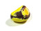 A yellow, sloppy-shelled, cracked one with an exposed nut that has been polished to a facet.