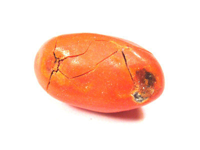 A wide orange lozenge with a dimple on each end, each cracked and muddied. The cracks mingle in the middle.