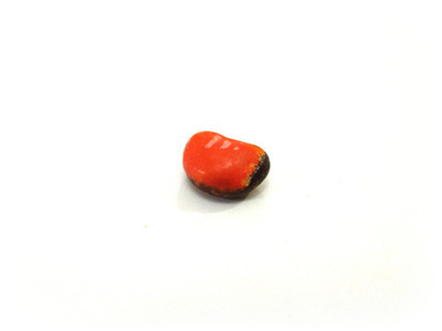 A small orange runt, bean-shaped, only candied on this side.