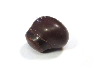 An otherwise normal brown nut one, but with a cylindrical chunk grafted on.