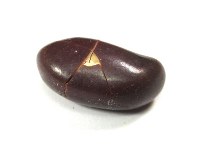 An oblong brown nut, with a triangular porthole to the nut, and fractures coming out from it in an "A" shape.