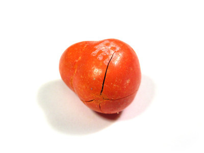 An orange unbalanced-sized double-nut, with a cross-shaped fracture from what appears to be a clean hit with a ball-peen hammer. Also, there are two "m"s, overlapping.