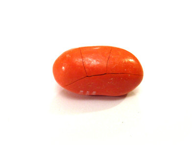 Big wide orange lozenge, with a few hairline cracks dividing the shell into four pieces